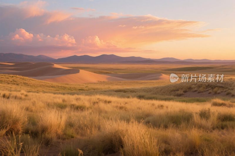 夕阳下的广袤草原与远山