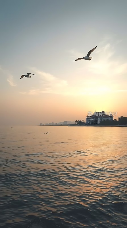 海鸥翱翔日落时分的海滨城市