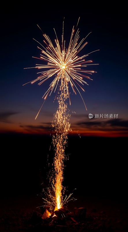 夜空烟花绽放璀璨夺目