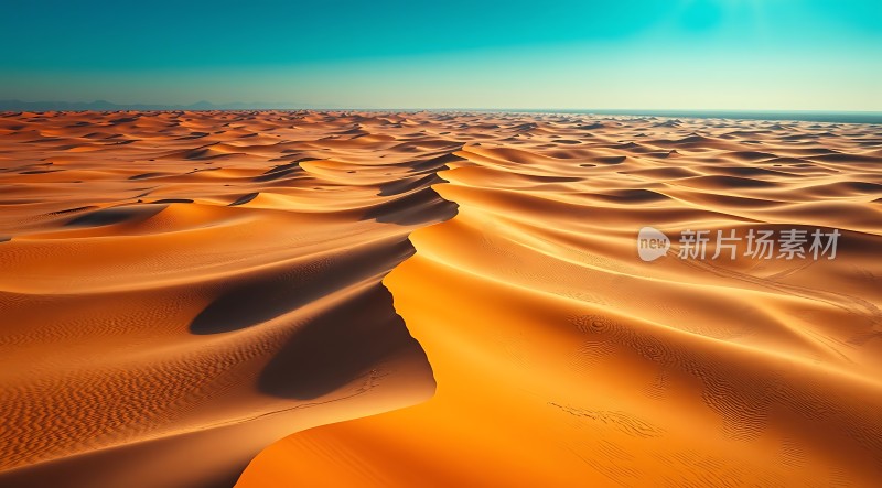 金色沙丘下的宁静沙漠