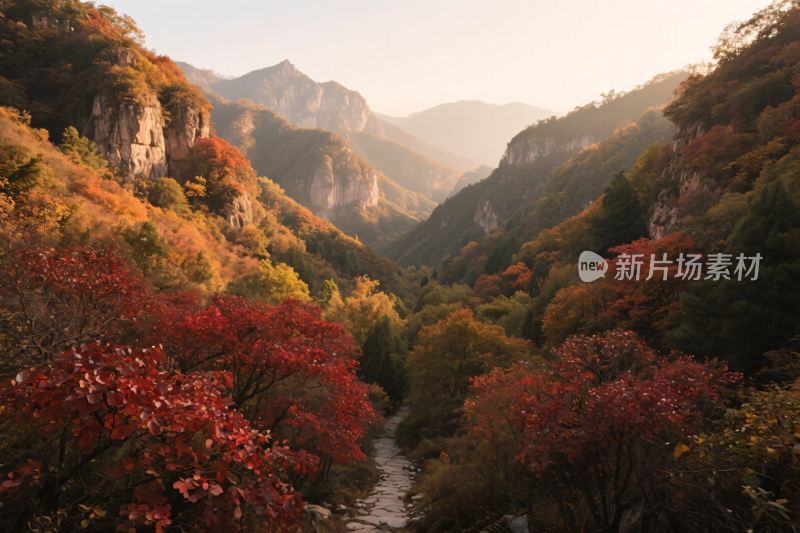 秋日山间河谷美景