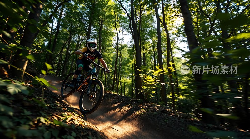 骑行者穿越绿色森林小径