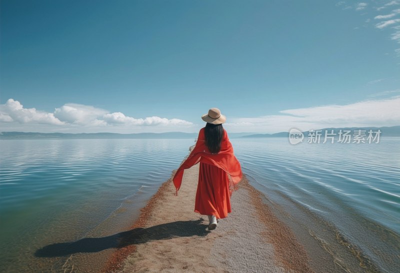 青海湖夏日风光