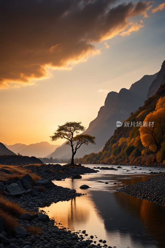 河岸上一棵孤树高清风景图片