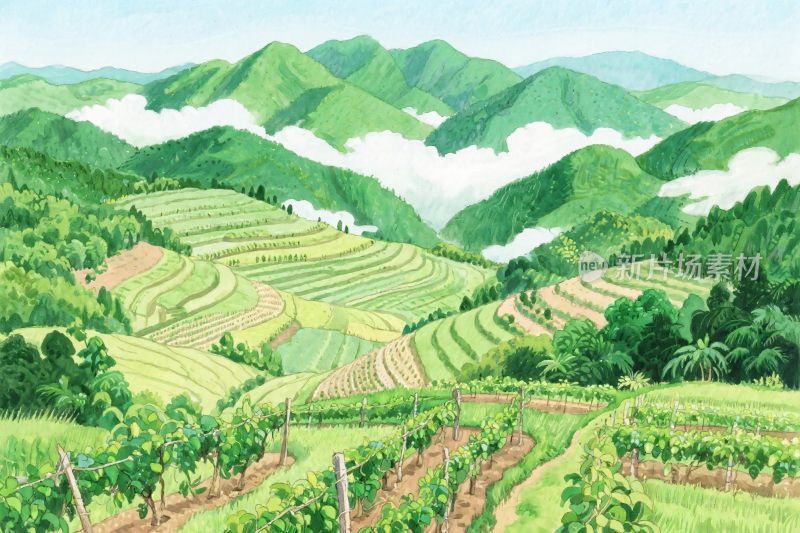 山水田园风景插画