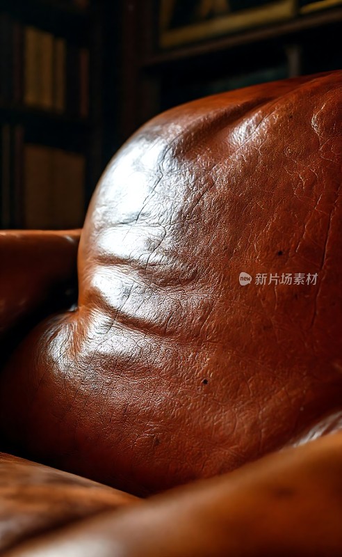皮质沙发特写展现质感和细节之美