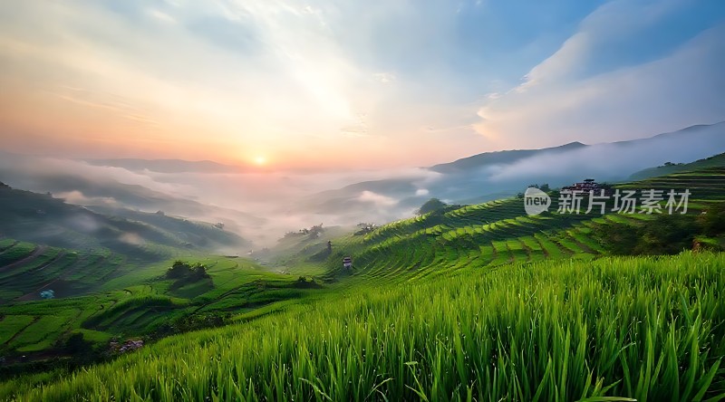 晨光下的梯田风光
