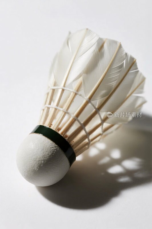 羽毛球特写图