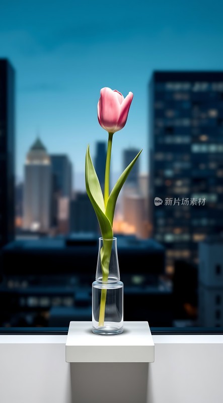 城市夜景中的粉色郁金香