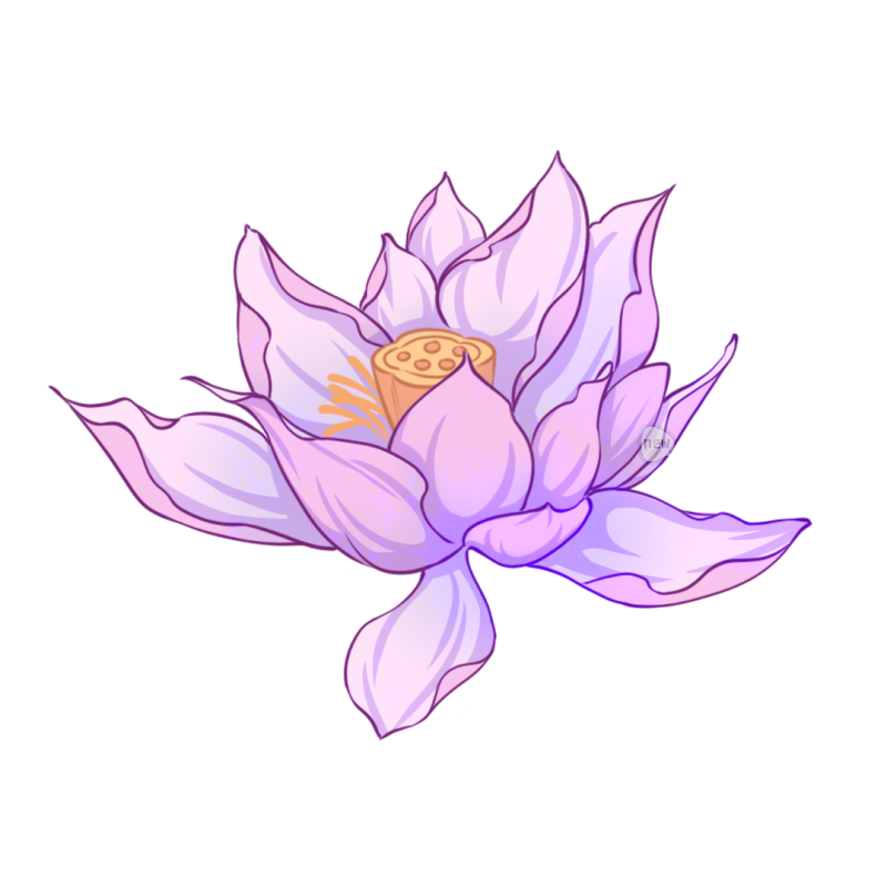 单株荷花国风免扣素材