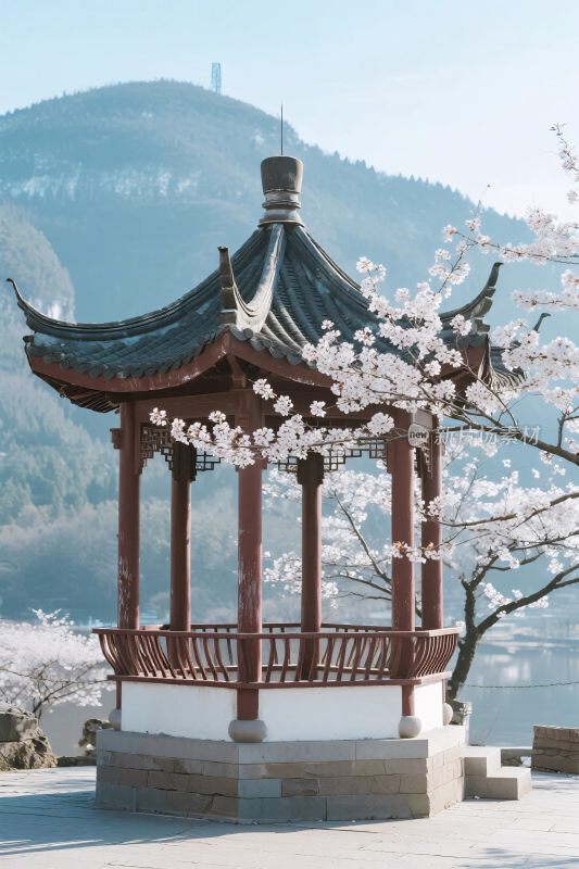 湖畔古亭与盛开樱花美景