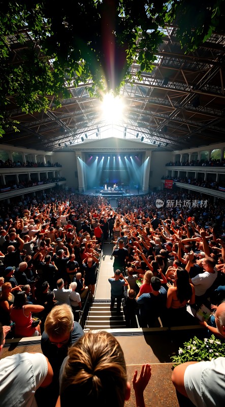 阳光下的音乐节现场观众热情高涨
