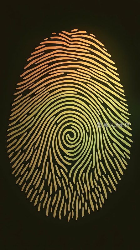 指纹识别安全验证