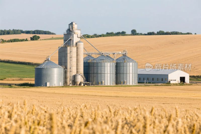 乡村粮仓农田风光