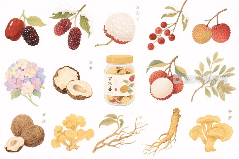 插画食材花卉集合
