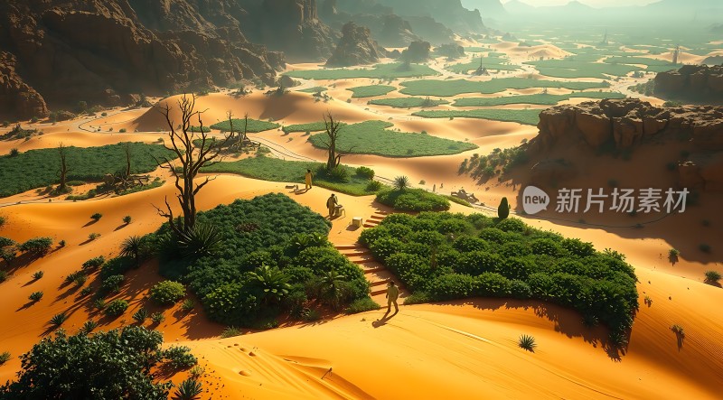 沙漠绿洲探险之旅