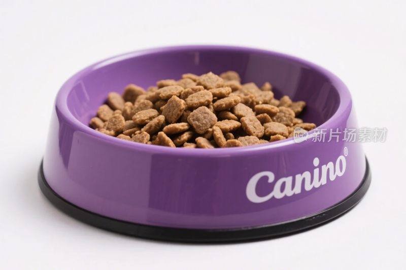 紫色宠物粮碗