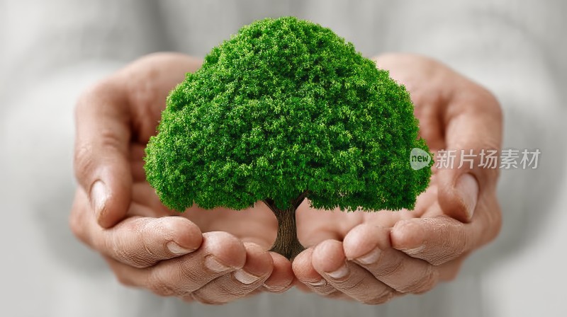 双手呵护 绿色环保 爱护生态 保护地球