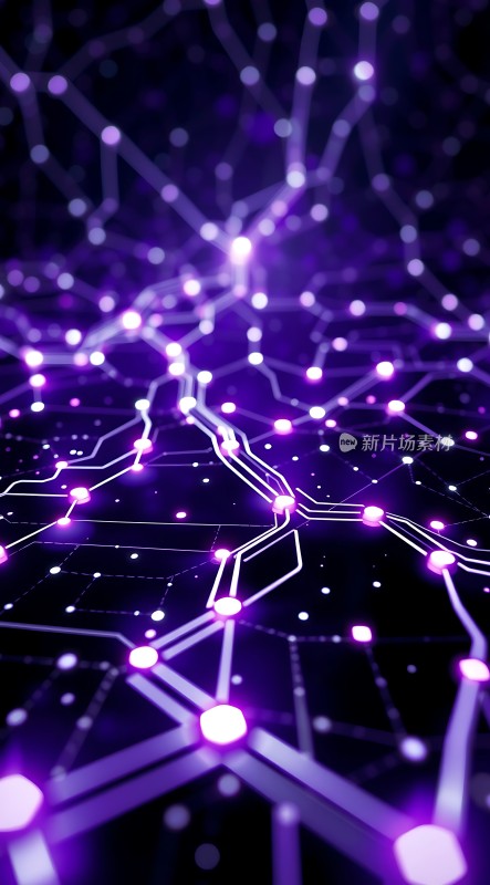 紫色科技网络世界