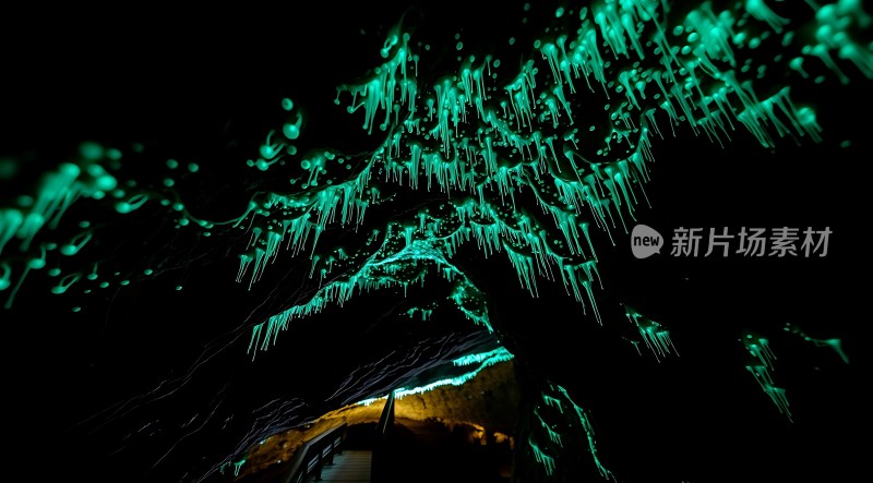 神秘洞穴探秘之旅