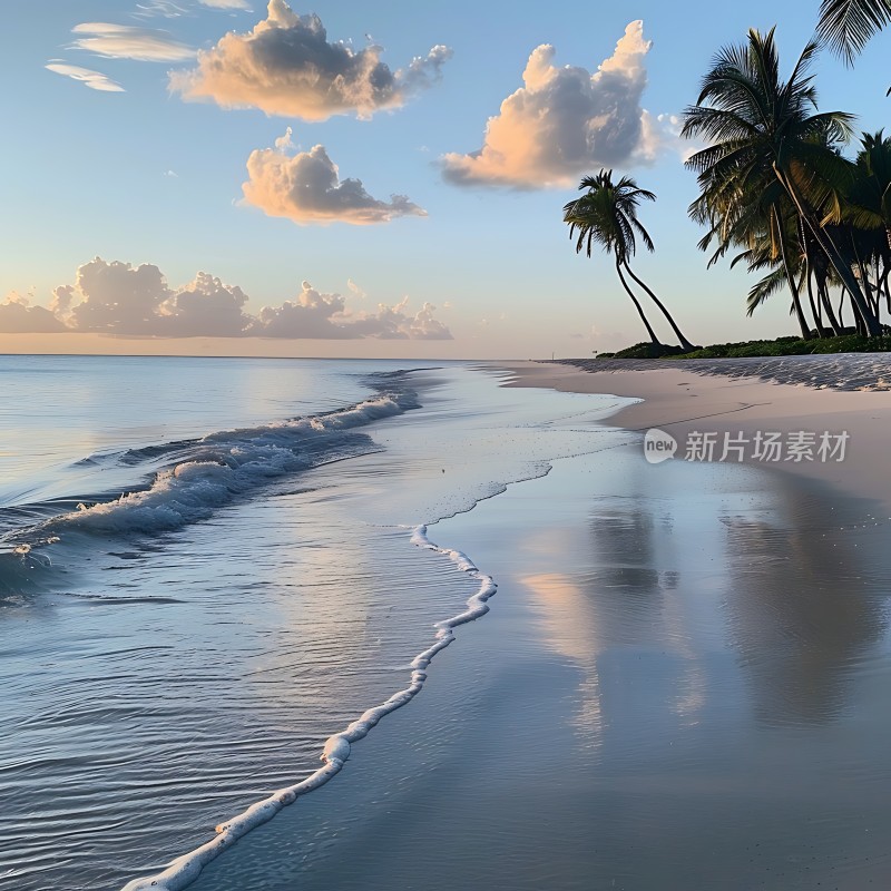 椰林轻摇海浪轻拍沙滩