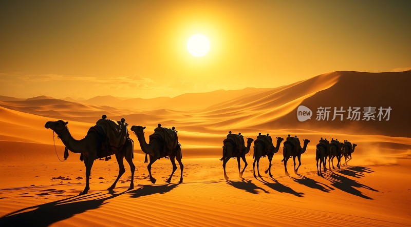 金色沙漠驼队行