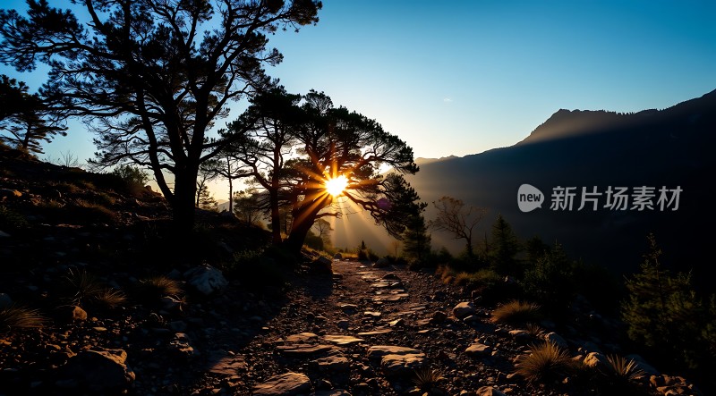 晨光中的山间小径