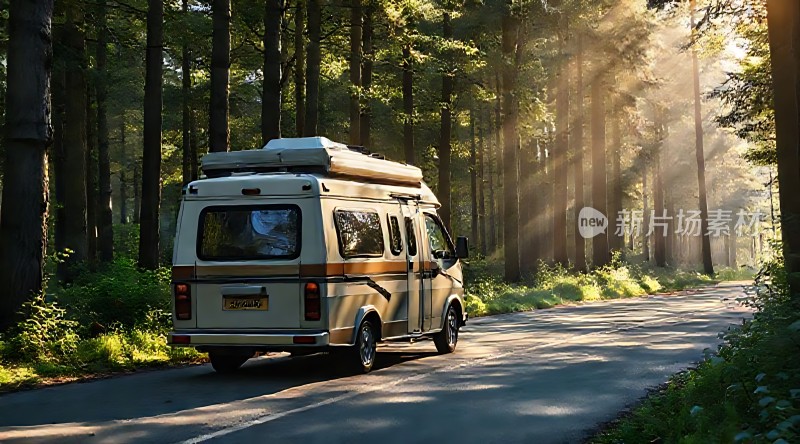 阳光下的森林公路旅行