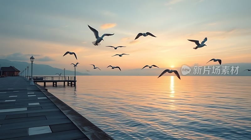 海鸥翱翔日落码头