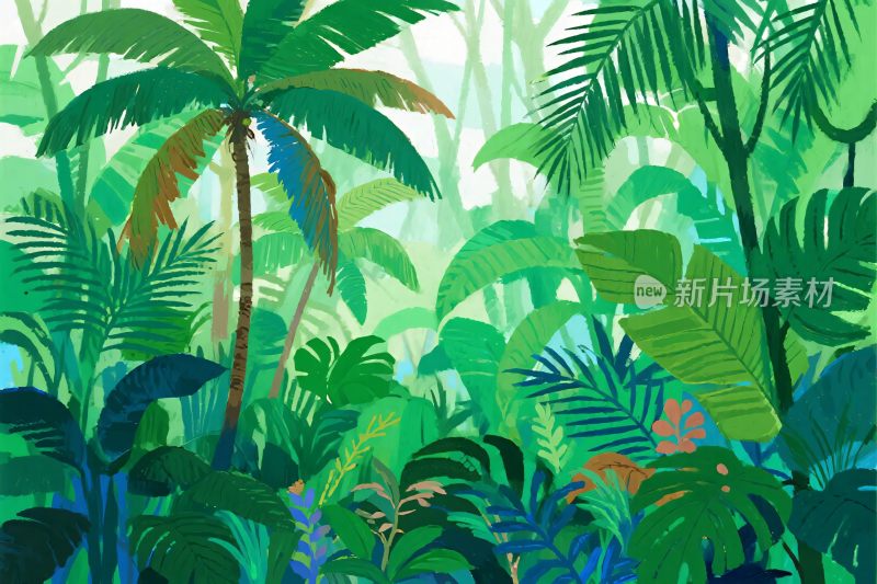 热带雨林插画