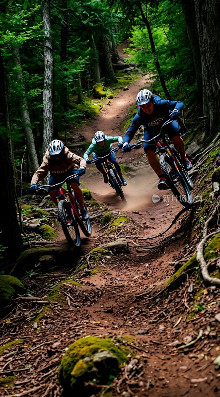 骑行者穿越森林小径