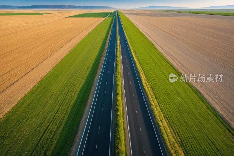 看到一条长长树木的道路高清图片