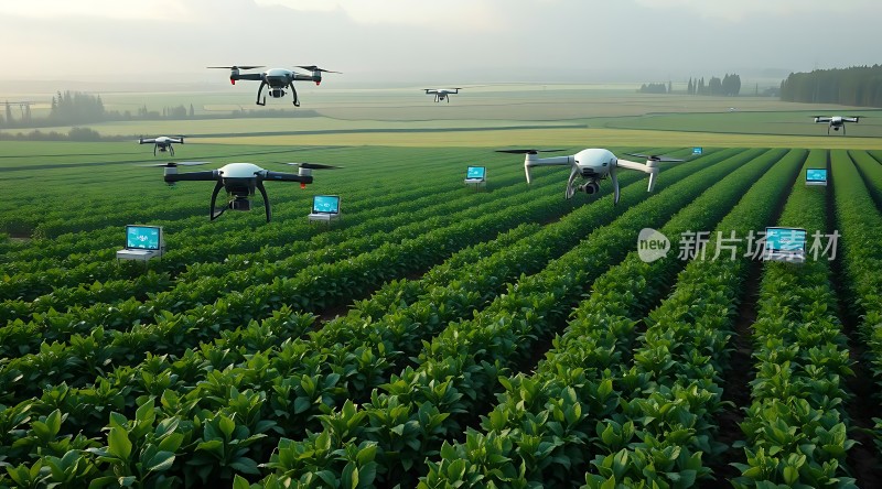 无人机监测农田作物生长状况