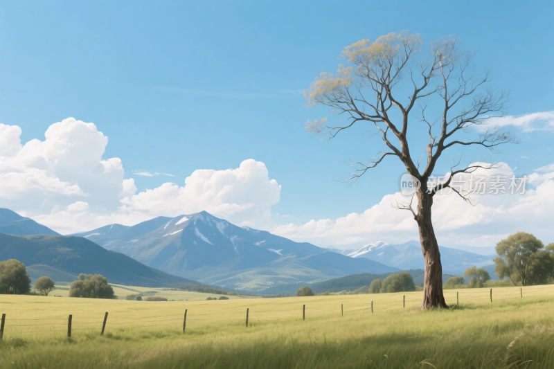 草地树远山风景插画