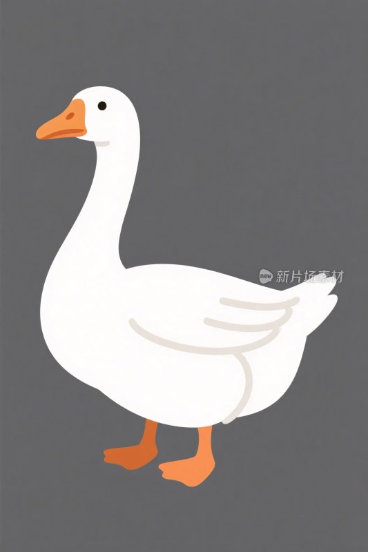 卡通白鹅插画