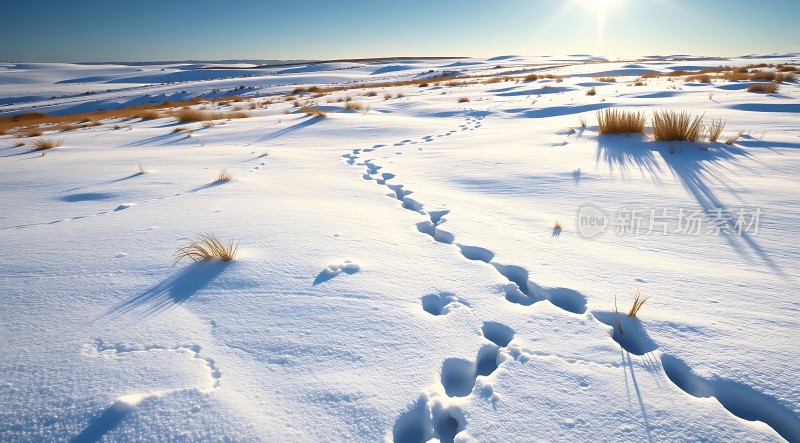 雪地足迹阳光下的宁静与温暖