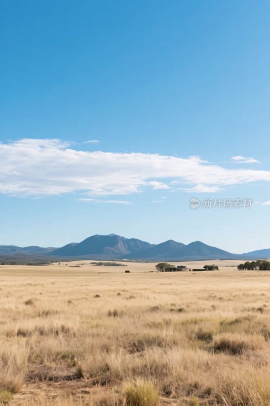 广袤原野与远山蓝天景象