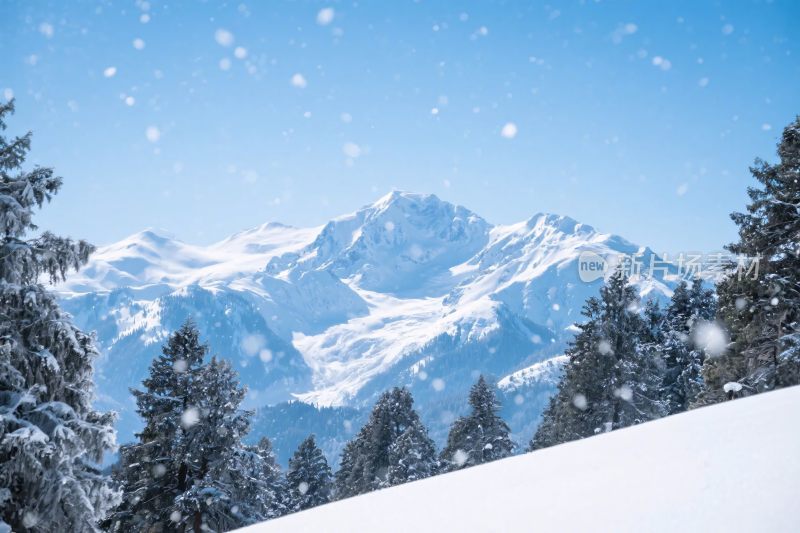 雪山雪景风光图
