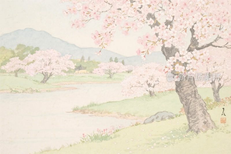 春日樱花风景插画