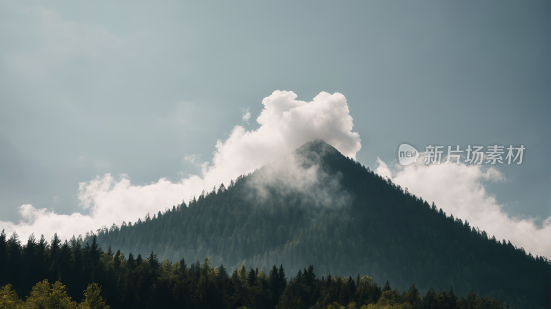 一座森林的高山清风景图片