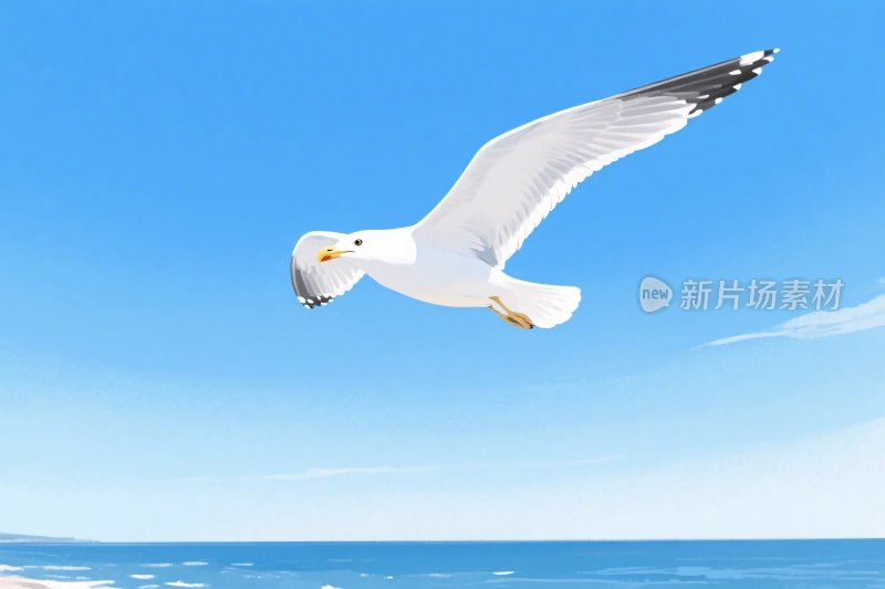 海鸥飞翔插画