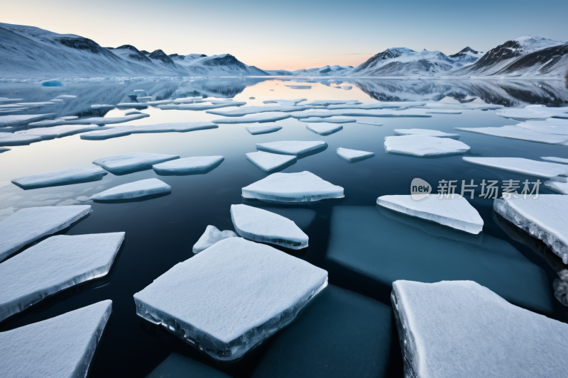 漂浮在水面中的浮冰风光风景图片