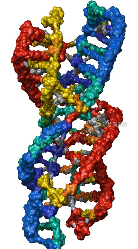 多彩DNA双螺旋结构图