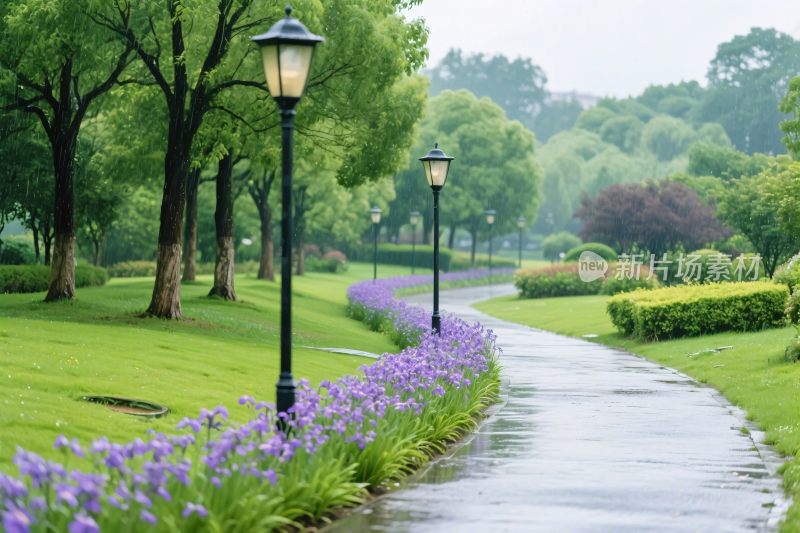 公园绿化道路景观