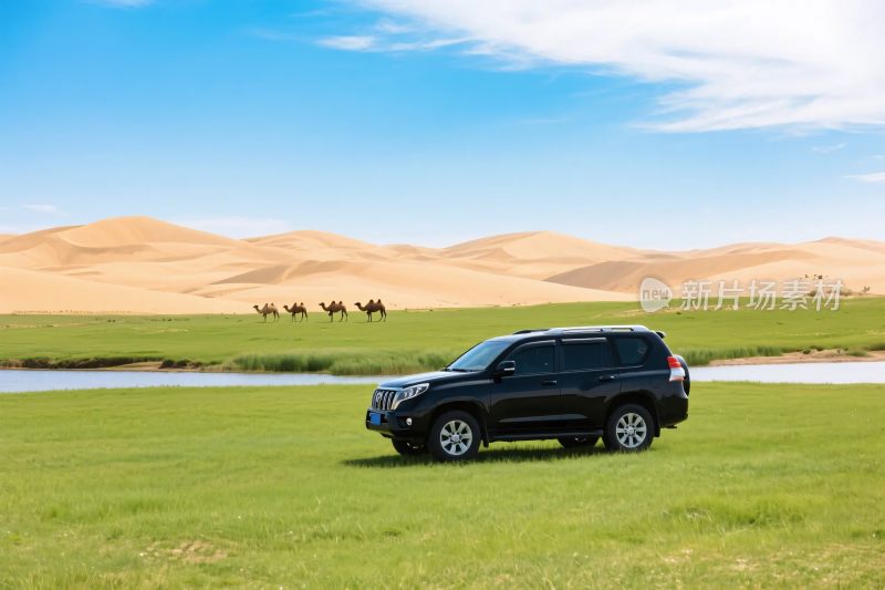 沙漠边草地上的黑色越野车
