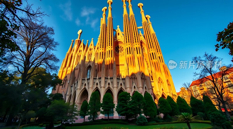 阳光下的宏伟教堂