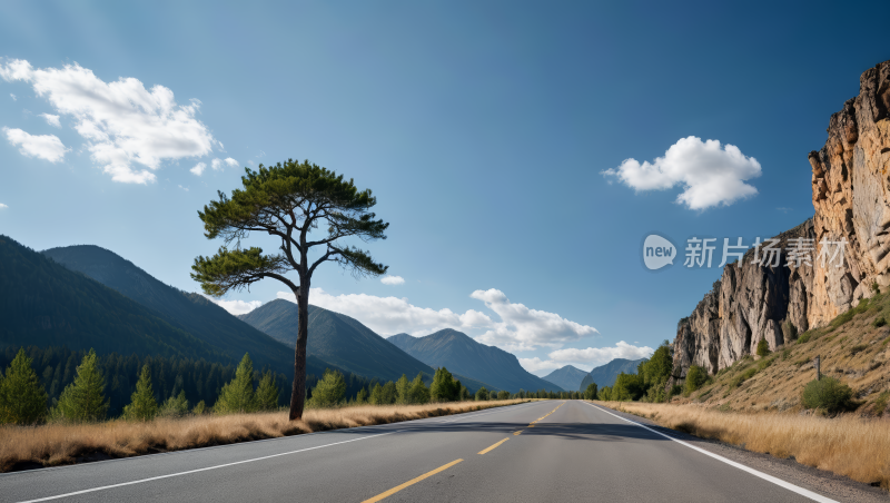 公路孤树风光风景图片