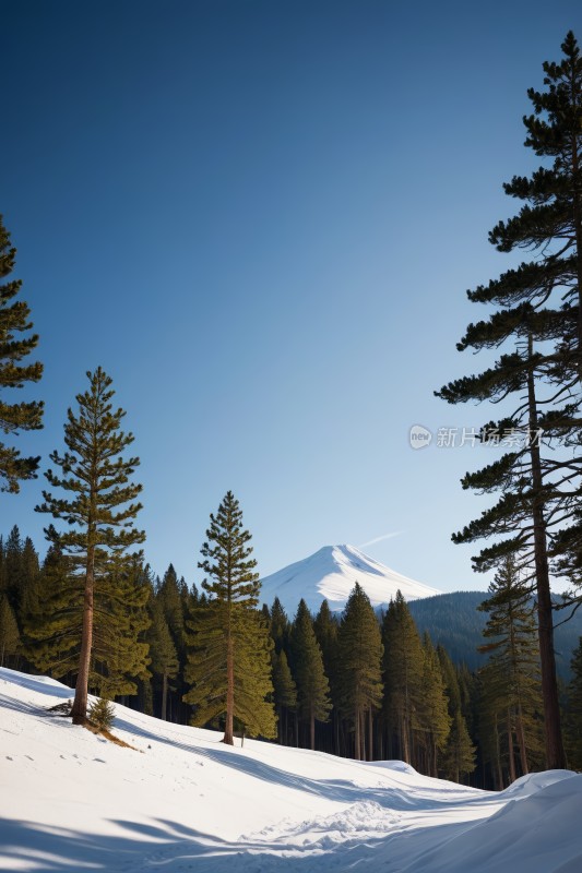 滑雪者们正在一座雪山上行走一座高山清图片