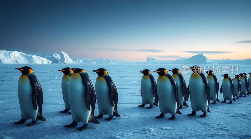 南极企鹅大军行进