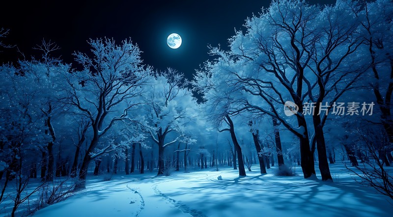 雪夜月下静谧森林